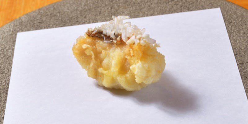 天ぷら もっこす - 画像4