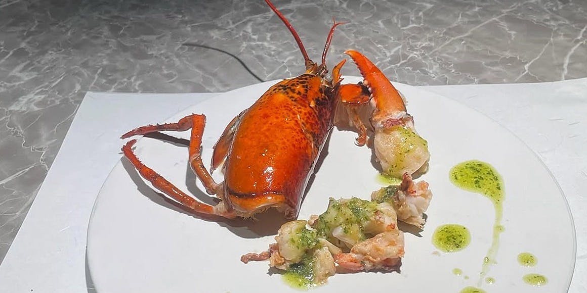 鉄板 珊瑚／アパホテル 名古屋栄駅前 EXCELLENT - 画像3