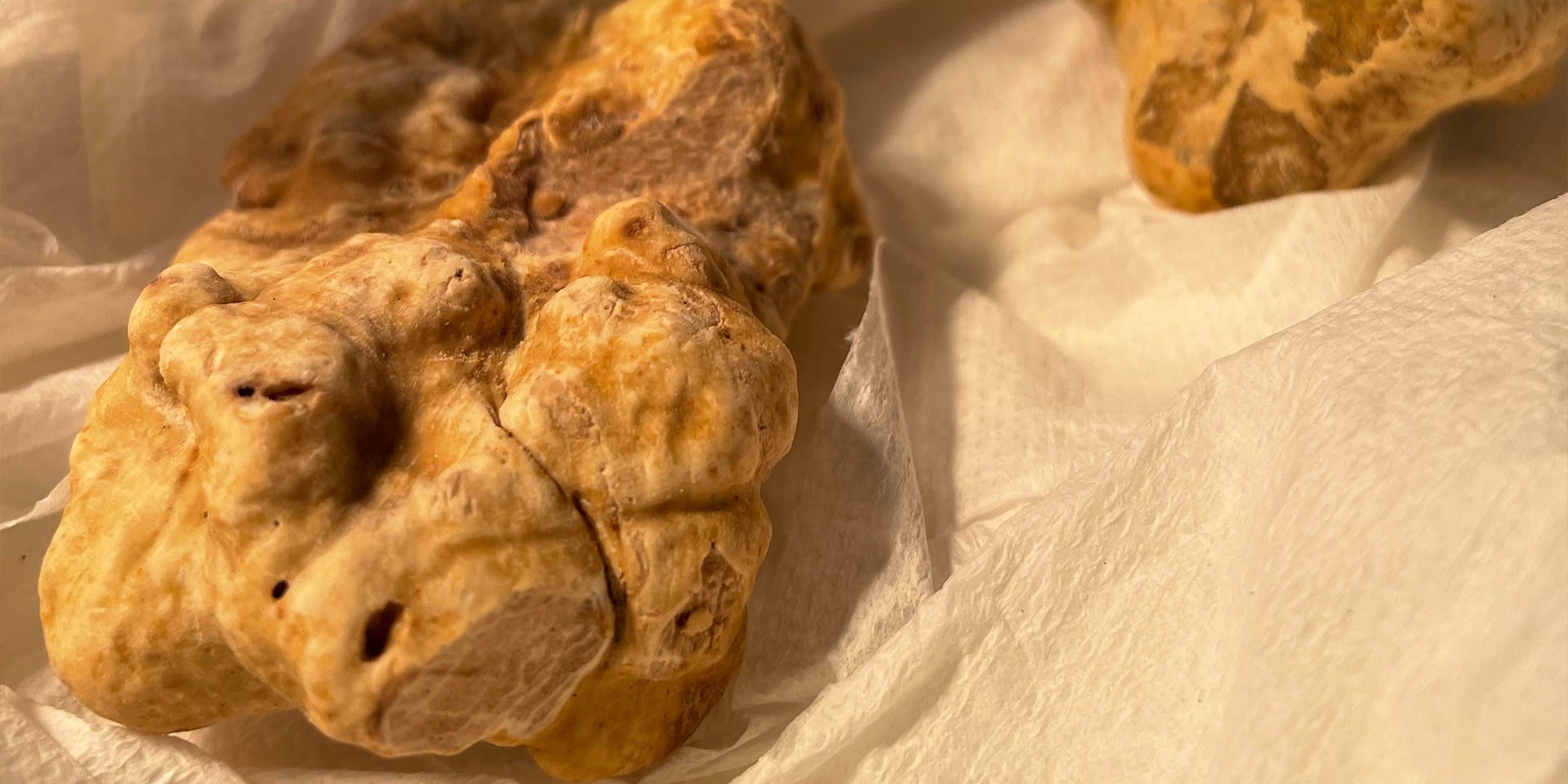 エンメエッセ（Emme Esse）