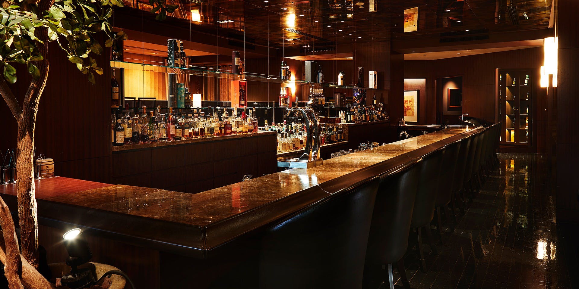 メインバー ダビンチ／ANAインターコンチネンタルホテル東京 - 画像1