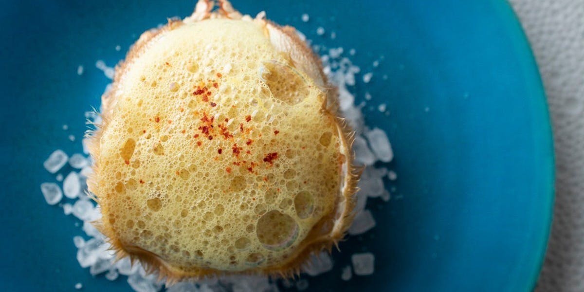 メゾン フジヤ ハコダテ（maison FUJIYA hakodate）