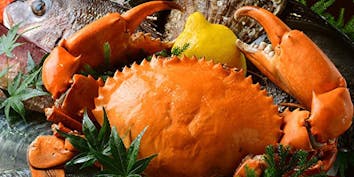 【幻のどうまん蟹コース】浜松ならでは濃厚な旨みの「どうまん蟹」を堪能できる全8品 - 魚料理専門 魚魚一