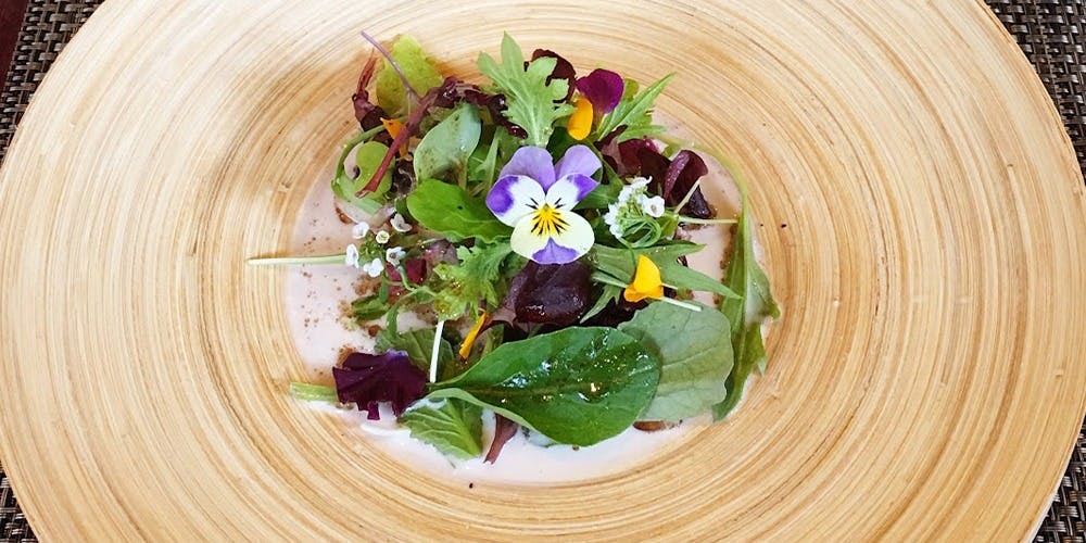 アンナータ - 画像3