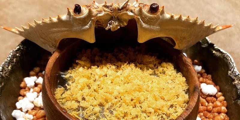 アンナータ - 画像6