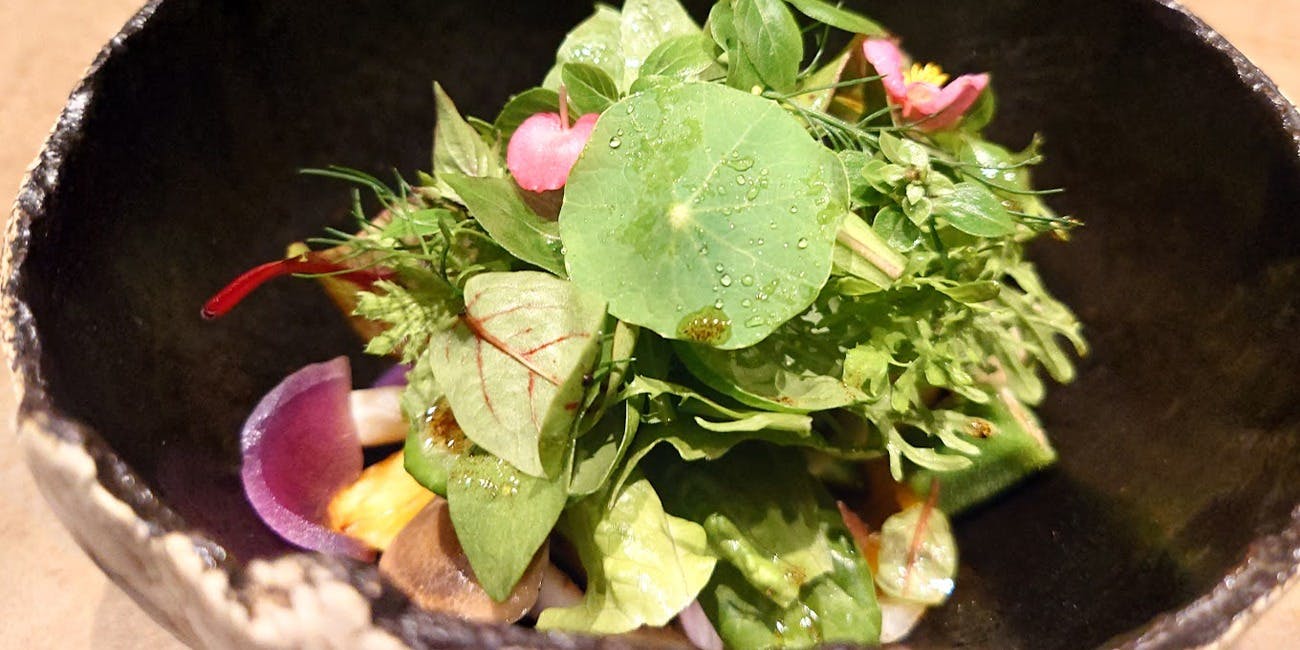 アンナータ - 画像9