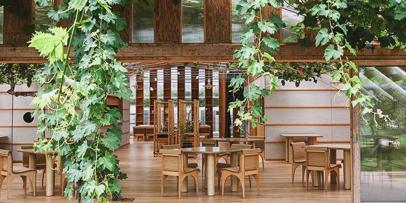 レストランぶどうの森 レ・トネル - 画像2