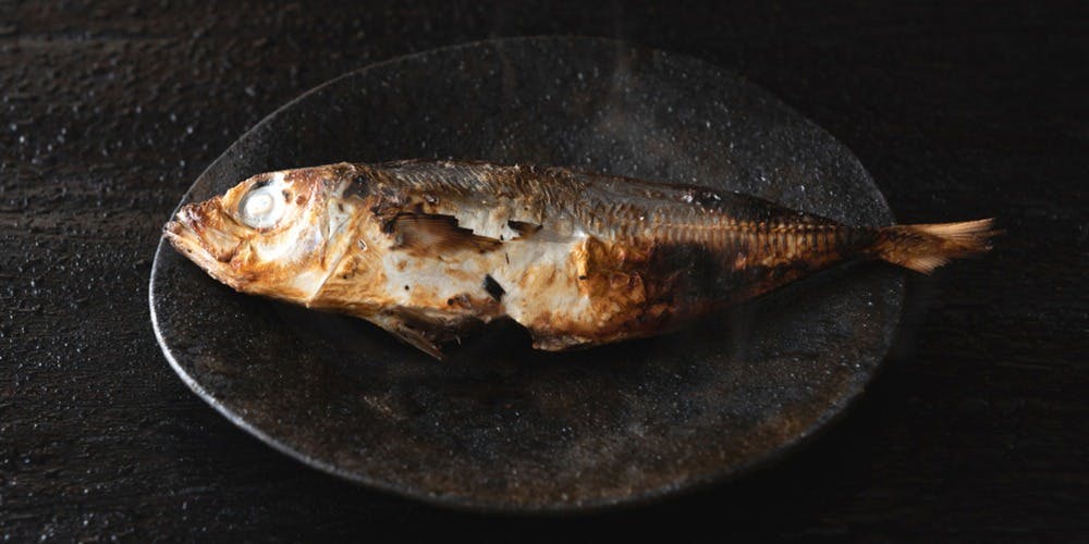 ただの料理屋 きたうら善漁。 - 画像6