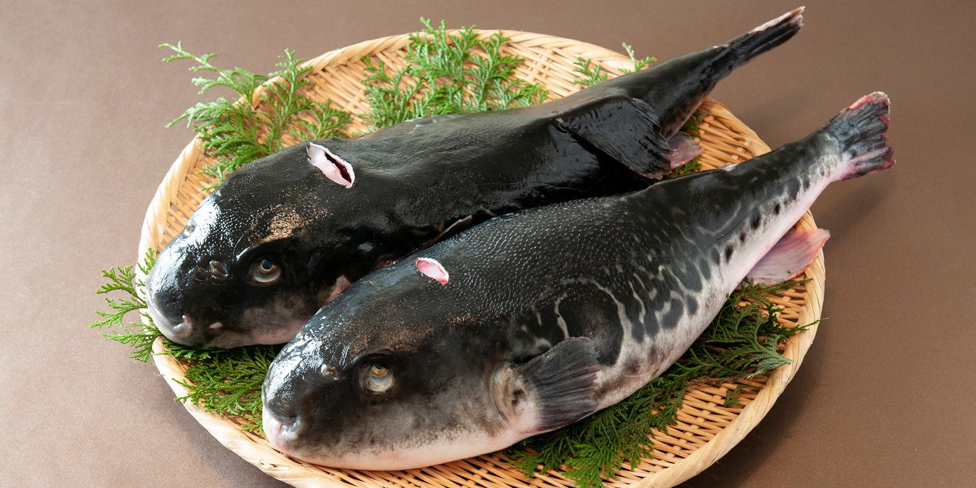 六本木 浜藤 - 画像4