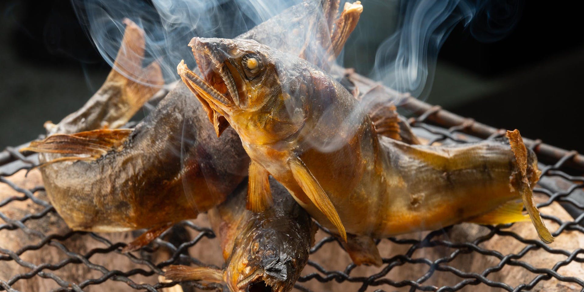 神楽坂 光石 - 画像5