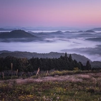 【神石高原から日本を変える】自社生産する幻の神石牛で町おこし