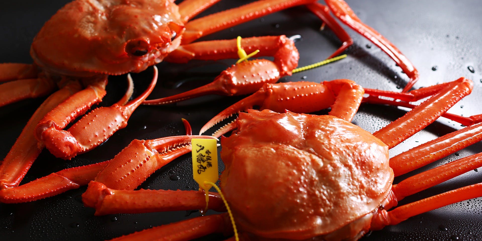 祇園 かにを喰らう - 画像5