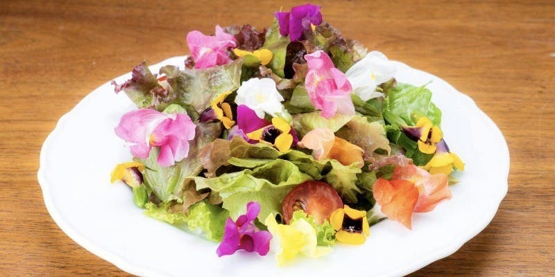 シュラスコレストランCalendula（Calêndula/カレンドゥラ）