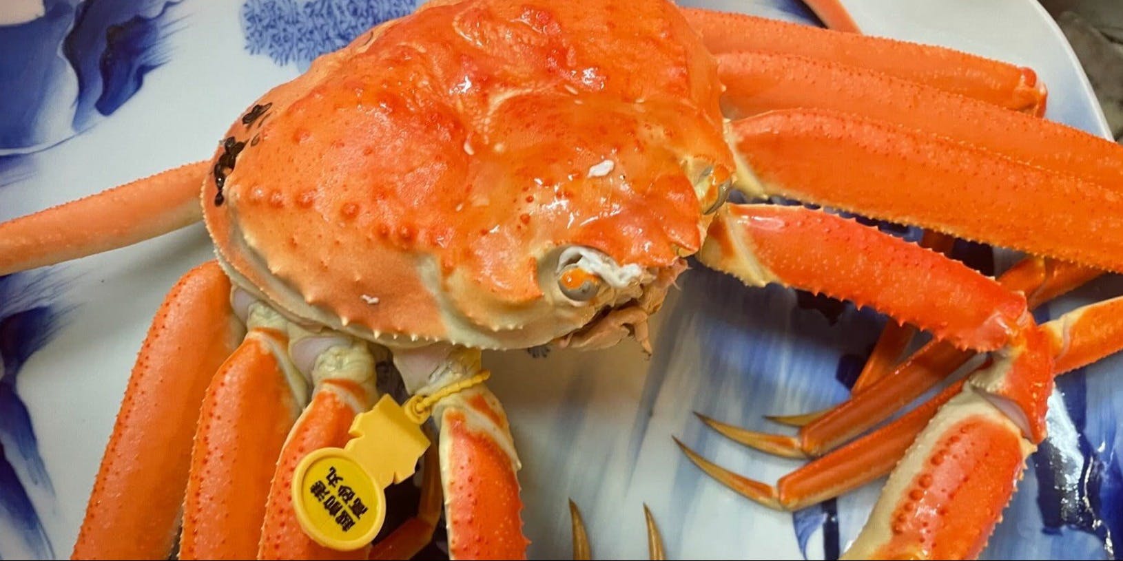 割烹水乃江 - 画像5