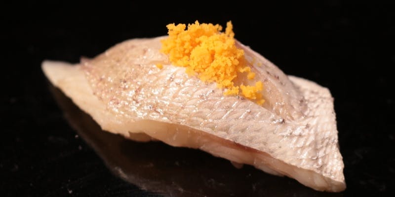 【おまかせコース】1月まで