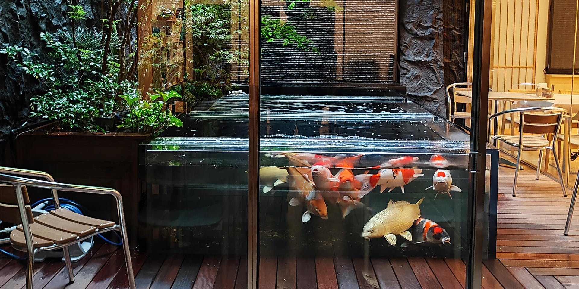 Food Salon 錦鯉 - 画像3