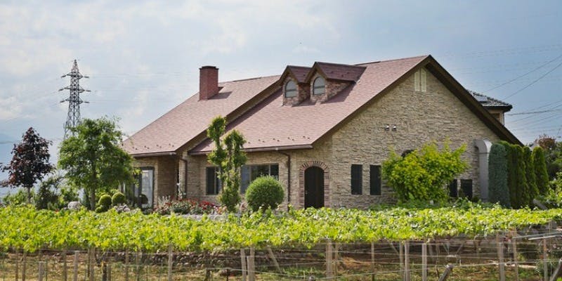 キュイエット（La Cueillette） - 画像3