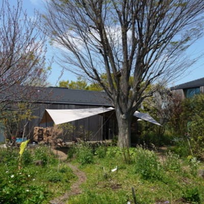 中庭に広がるエディブルガーデン