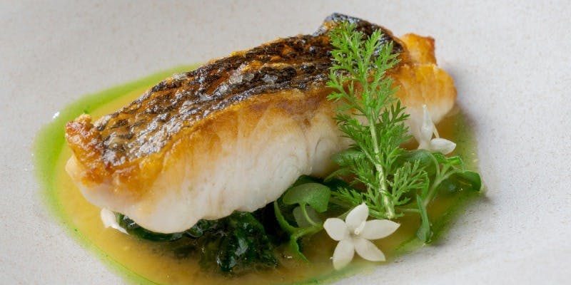 ミ・カサ - 画像19