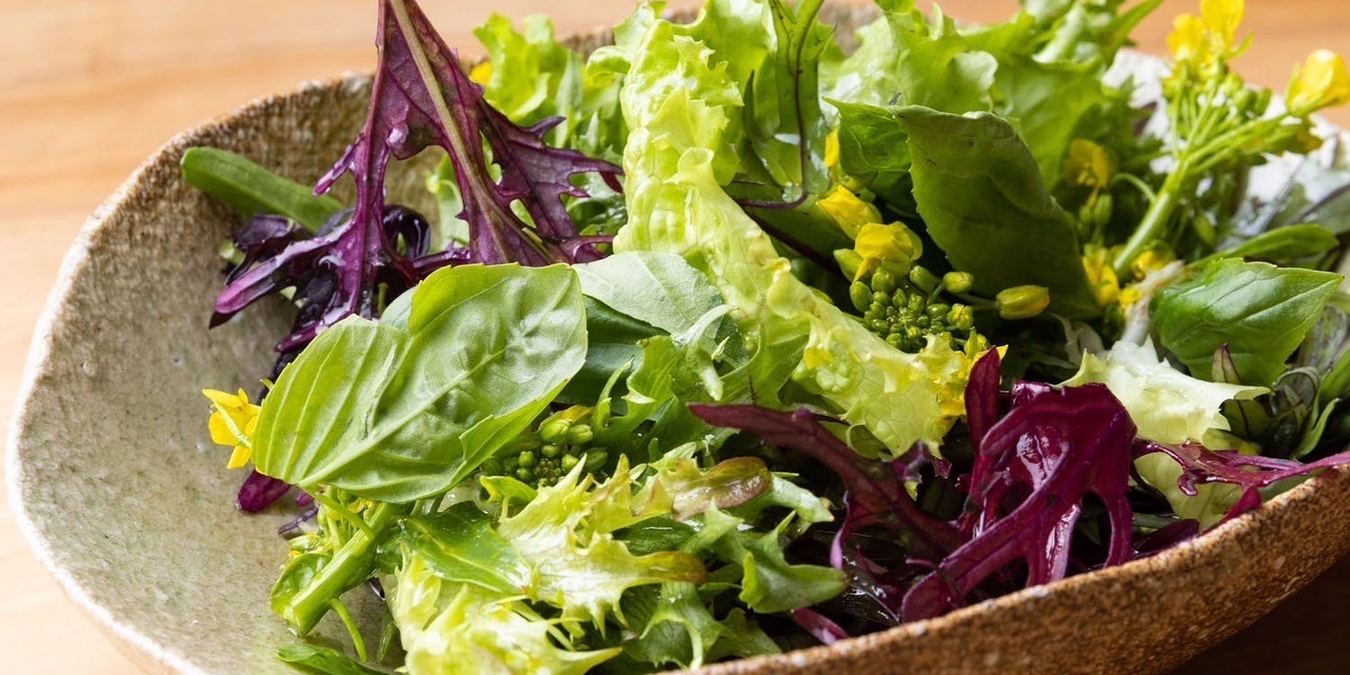 ミ・カサ - 画像6