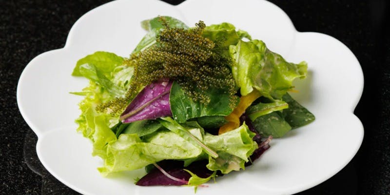 鉄板焼ステーキ 集 宮古島（TEPPANYAKI STEAK SHU MIYAKO ISLAND）