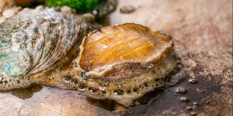 【Xmas鮑ランチ】雲丹・鮑・厳選国産牛を含むクリスマス限定ランチ