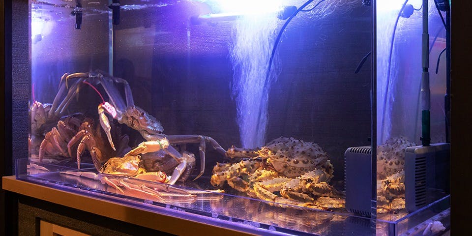 大宮 かに匠 - 画像4