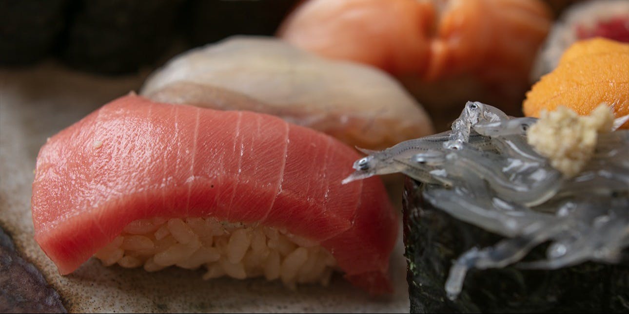 与五郎寿司 本店（よごろうずし）