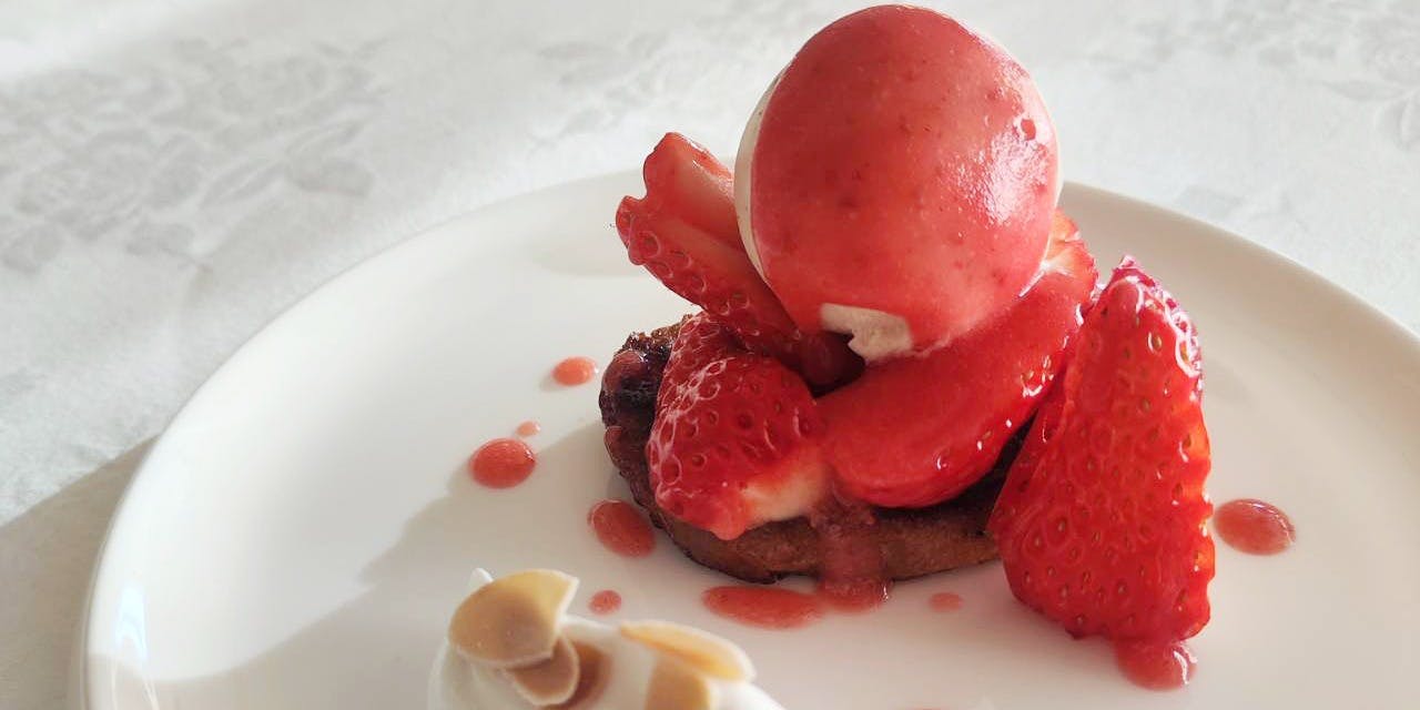 Le Grand Arbre（ル グラン アーブル）