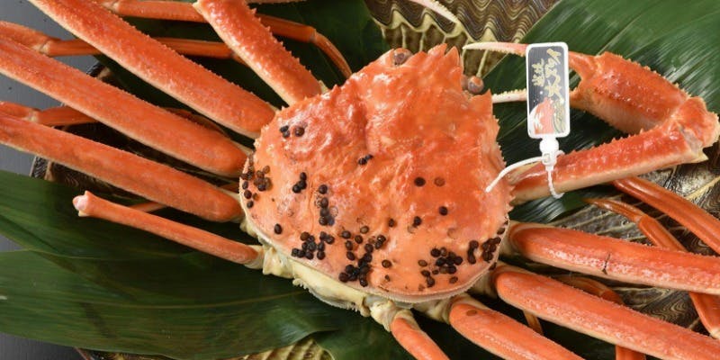 （12月1日より）本ずわい蟹の蟹ずくし会席　35,200円