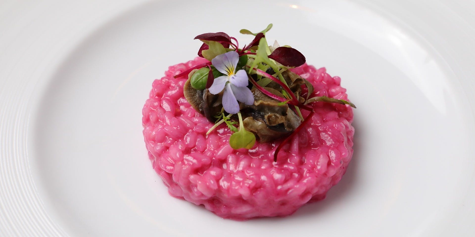 Azzurri KOEDO - 画像3