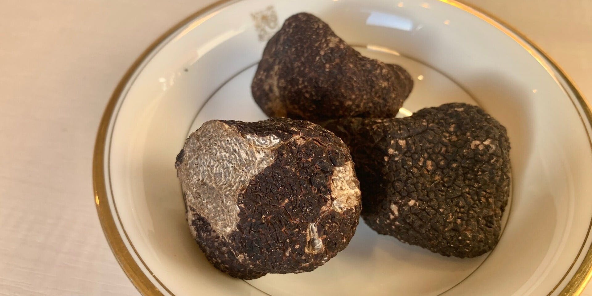 ソルシエール（SORCIERE）