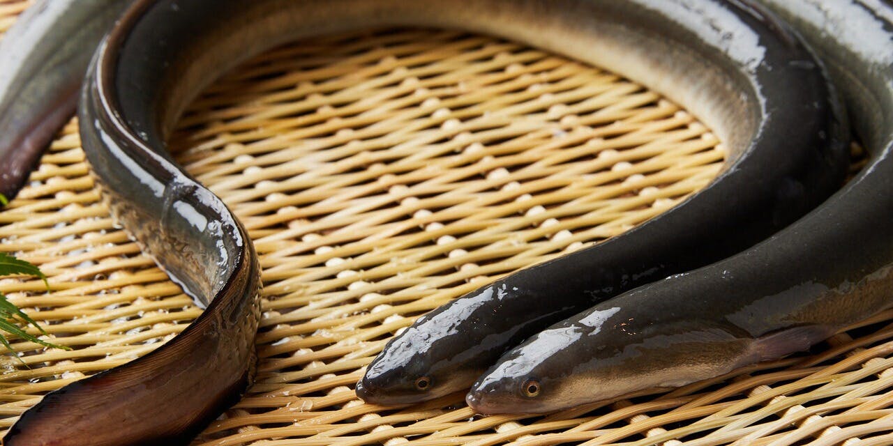 うな蔵 神龍 馬車道店