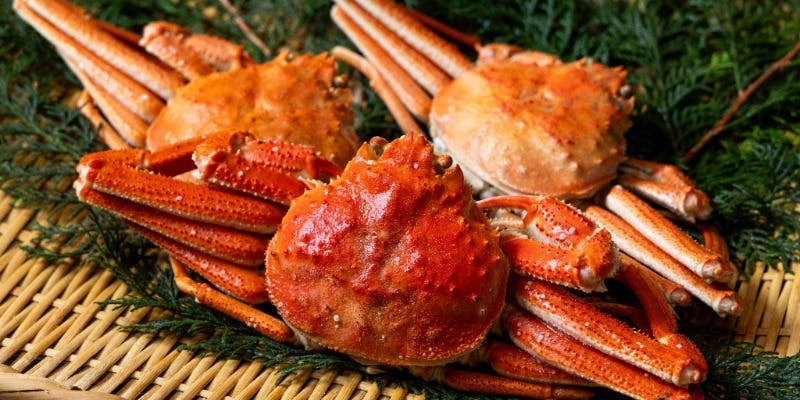 【2時間飲み放題付】本ズワイガニ食べ放題 9,999円（税込）