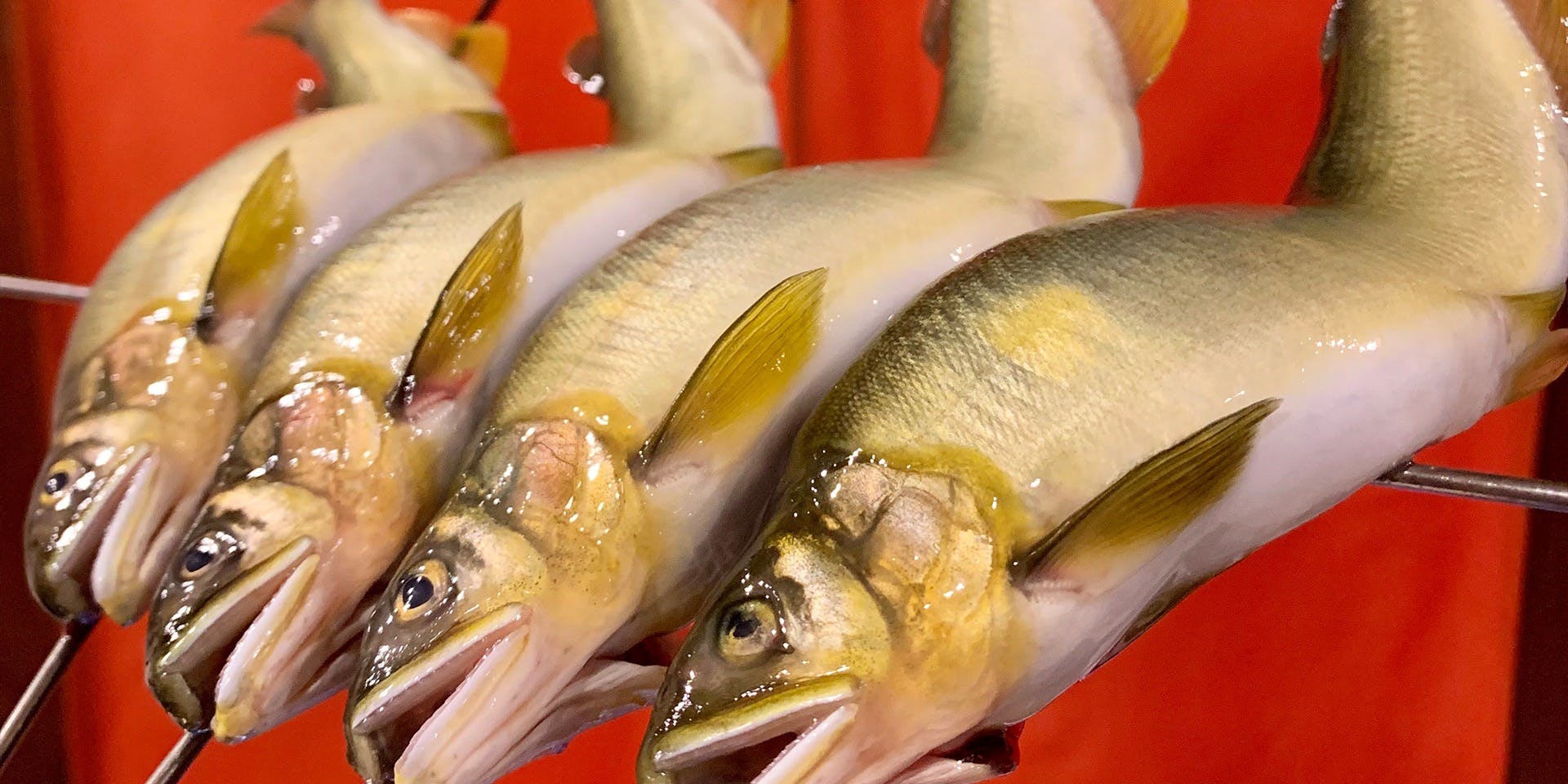 清凜（セイリン）