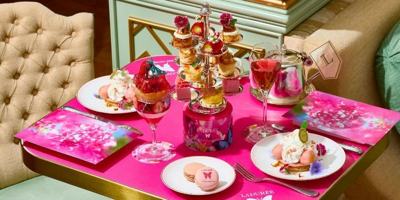 ラデュレ 日比谷店 桜アフタヌーンティー（土日祝限定） ティー プラン
