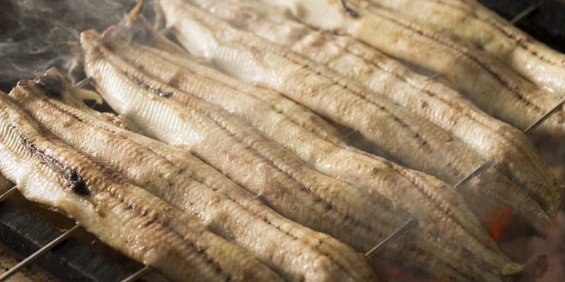 【鰻（うなぎ）尽くし】鰻と季節料理の饗宴コース＋お料理のみ（個室料無料）