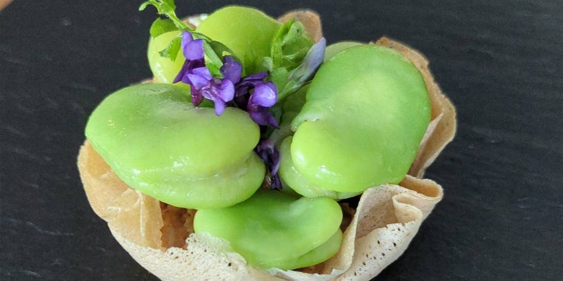 VENISON by TERRA - 画像3