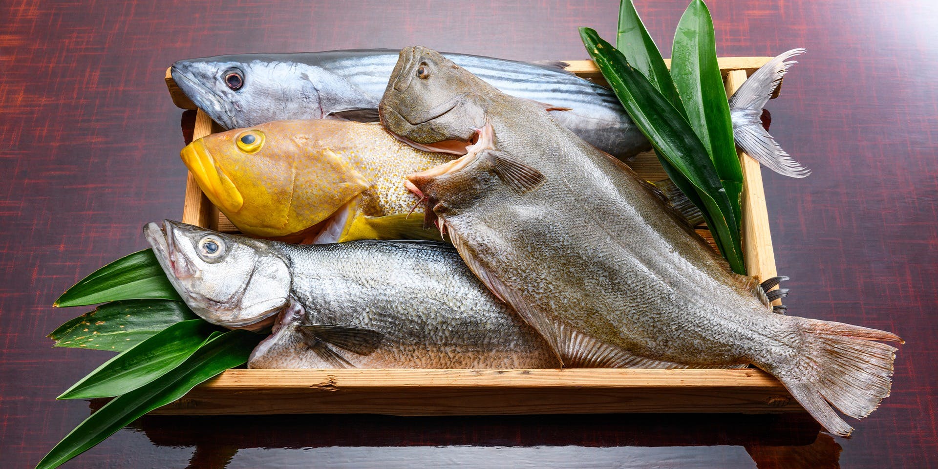 あそび割烹 さん葉か（サンバカ）