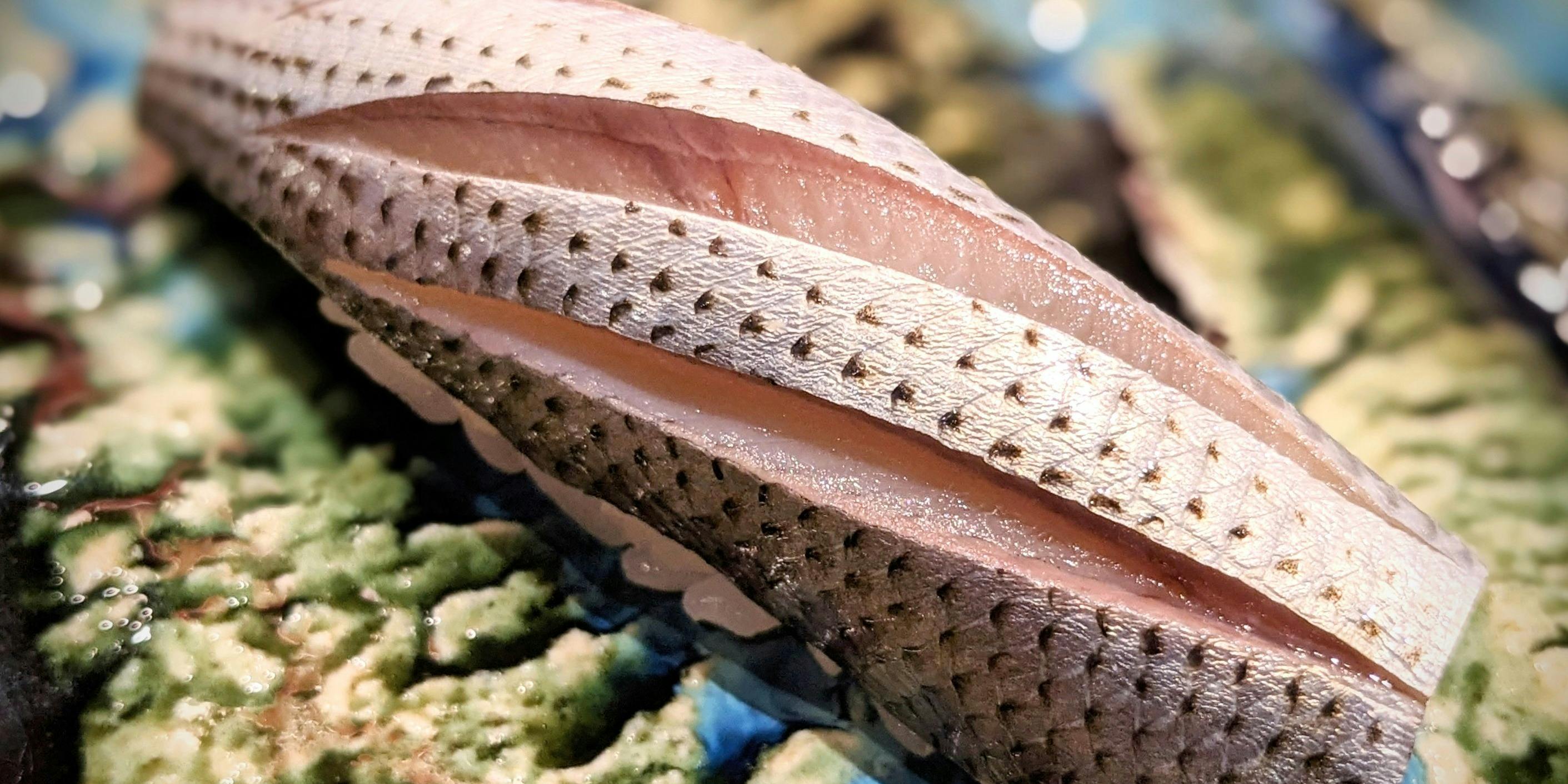 おすしあわせ 鮨ほり川 - 画像8