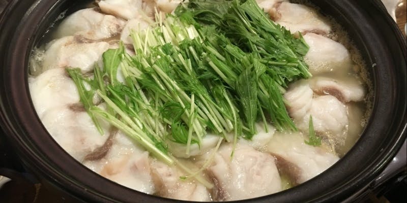 【天然くえ（九絵）鍋コース】（2026年2月末まで限定）