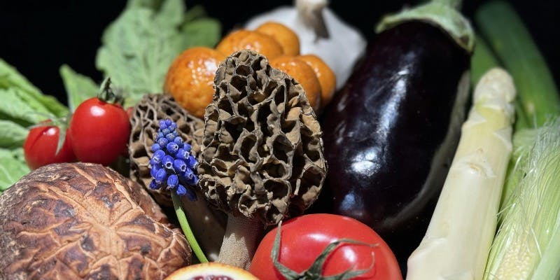 【Xmas2025】田村牛フィレ ロッシーニ風/伊勢海老 鮑 他【12/27までご予約OK】＋乾杯ドリンクサービス