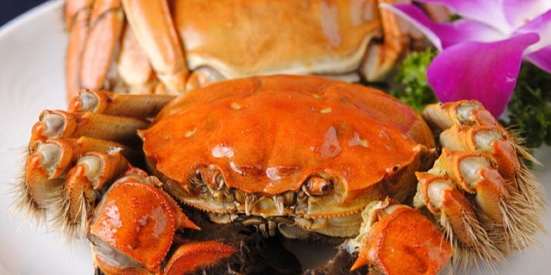 【豪華上海蟹コース】上海蟹をバラエティ豊かに味わえるコース