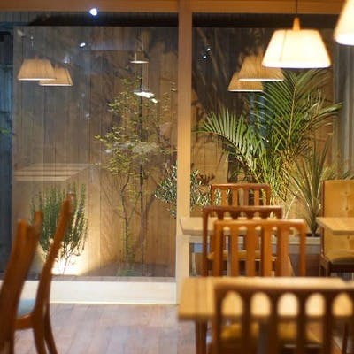 木をベースとした温かみのある雰囲気