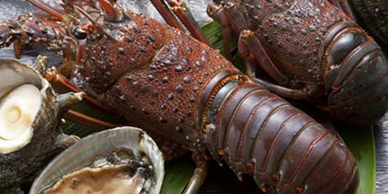 蒼雪 鉄板焼 USHIGAMI「椿～tsubaki～Course 」＋乾杯シャンパーニュ