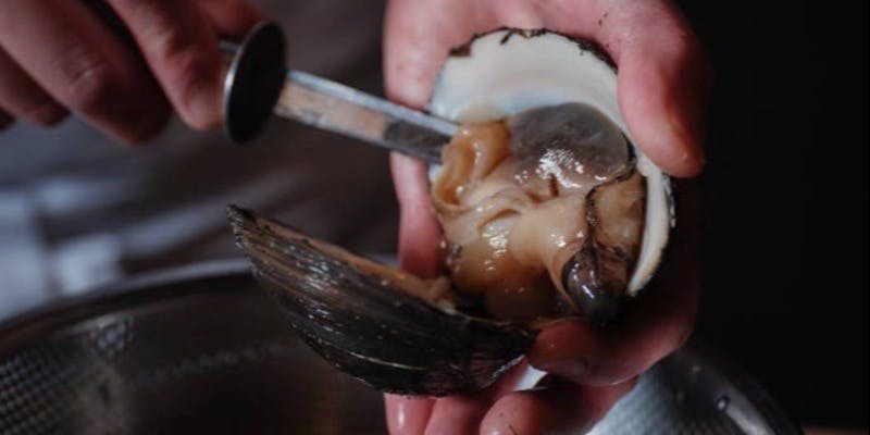 ����^�U�E���b�c�E�J�[���g������