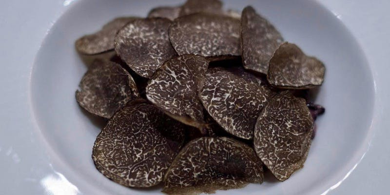 yaoyu（ヤオユー）