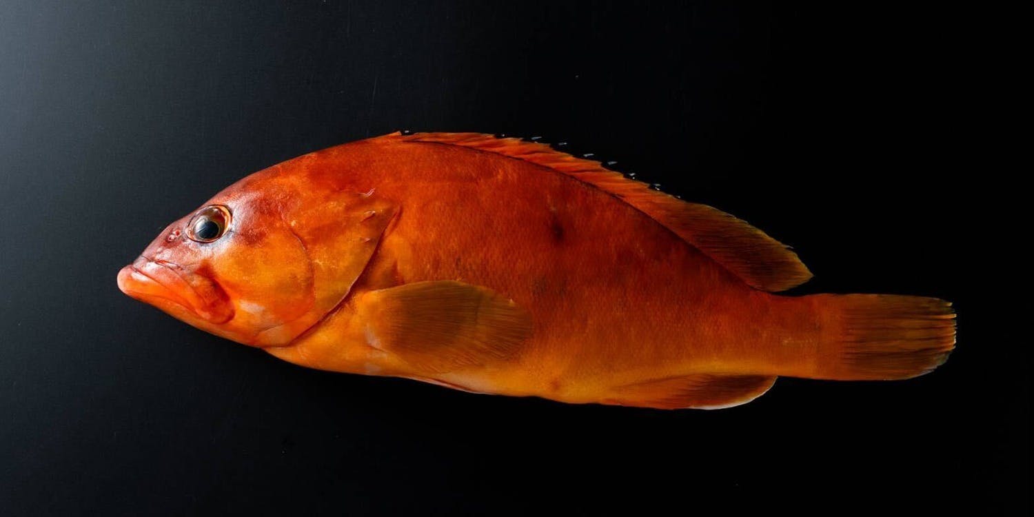 ごはんや 飯すけ