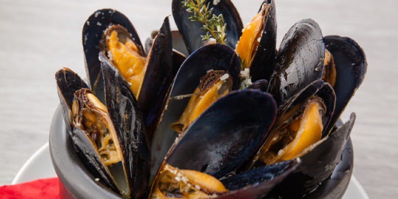 Gyoza Bar Chaozu - 画像5