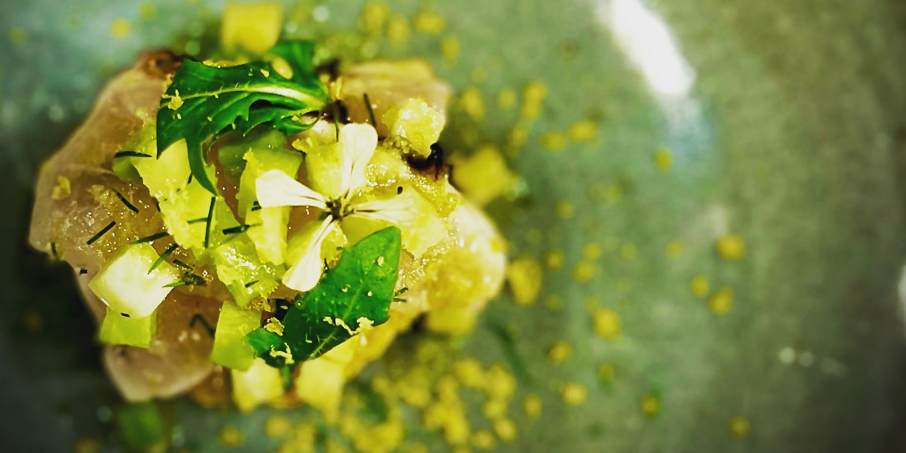 selvatico mino - 画像3