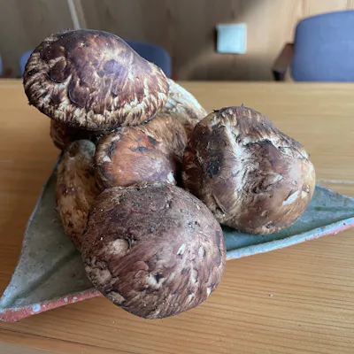 秋田比内地鶏の焼き鳥
